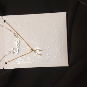 Silver n gold lucky necklace